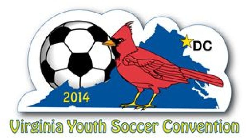 Demosphere attended the 2014 VYSA Convention